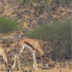 IMG_4815.jpg