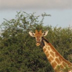 IMG_4886.jpg