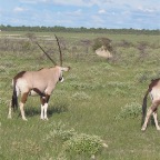 IMG_4917.jpg