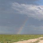 IMG_4955.jpg