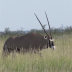 IMG_4960.jpg
