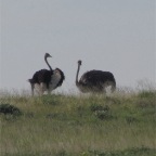 IMG_4963.jpg