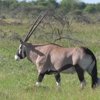 IMG_4965.jpg