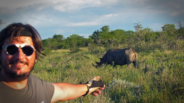 rino